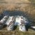 Проведение обследования гидротехнических сооружений на территории Новоберезанского сельского поселения по пропуску весенних паводковых вод