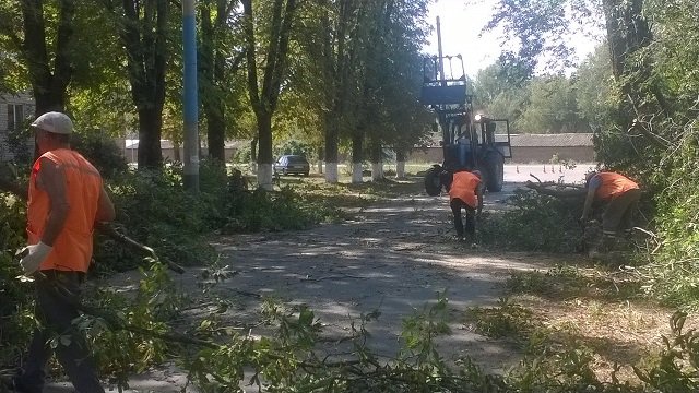 Работы по опилке веток деревьев по ул. Пионерская в пос. Новоберезанском