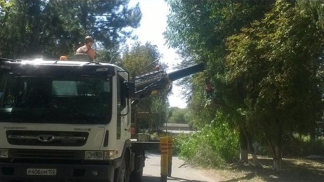 Работы по опилке веток деревьев по ул. Пионерская в пос. Новоберезанском