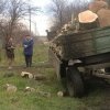 Администрация Новоберезанского сельского поселения Кореновского района оказывает содействие в обеспечении твердым топливом (дровами) семей