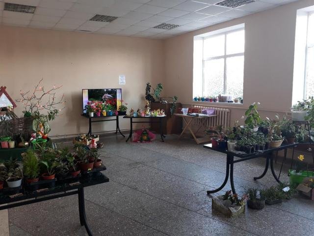 Выставка-ярмарка комнатных цветов и садовых растений