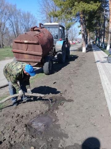 На территории Новоберезанского сельского поселения, работниками сельских домов культур (филиалами), библиотеками, МКУ, ЖКХ, ФГУП "Березанское" и жителями поселения проходит высадка роз